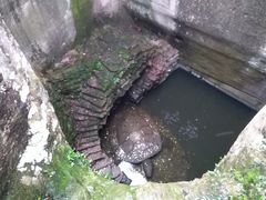 -蛇蟠岛