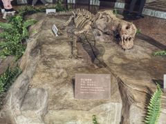 -自贡恐龙博物馆