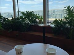 -Seesaw Coffee(朝阳大悦城店)