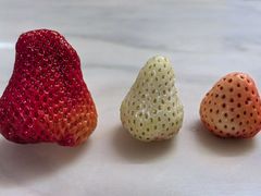 -AEON永旺(东方宝泰店)