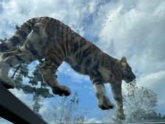 -西霞口神雕山野生动物世界