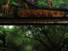 -广州长隆野生动物世界
