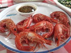 -陶缘一号·四季缘·老字号顺德菜·户外婚礼家宴(西滘店)