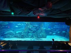 -暹罗海洋世界