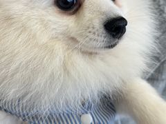 -怪兽屋·羊驼·猫咖·狗咖(俊华广场店)