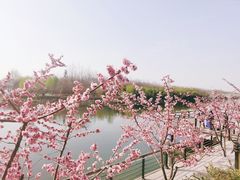 -西安汉城湖景区