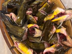 -老凯里苗岭酸汤鱼酸汤牛肉(百里杜鹃路店)