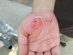 -渭南桃花源民俗文化园