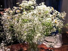 -春树下·树屋花房西餐厅(罍街AS1980店)