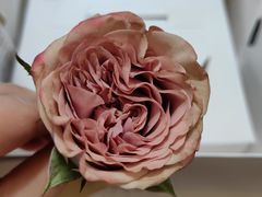 -花花卷卷·鲜食蛋糕(静安久光百货店)
