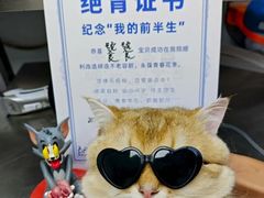 -芭比堂动物医院·心脏科·老年急重症·夜诊·吉雅分院