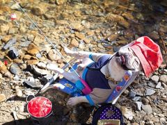 -扬州大学扬子津校区润园餐厅