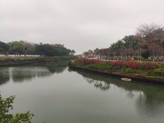 -万绿园