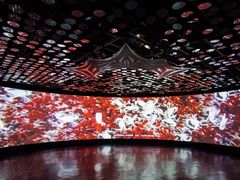 -同济大学四平路校区深海探索馆