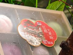 -好一朵茉莉花(老门东店)