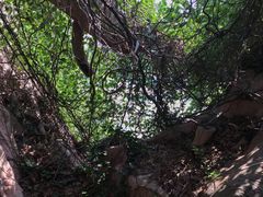 -上海月湖雕塑公园