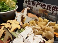 -潮发潮汕牛肉店(东方宝泰店)