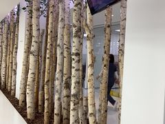 -极简口腔(总院)