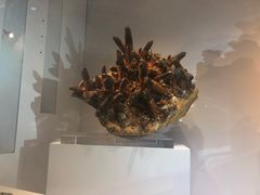 -中华赏石园