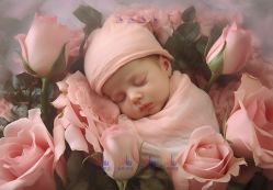 -菲啦城堡高端儿童摄影会所(武夷商业城店)