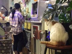 -平行世界·猫咖(首经贸店)