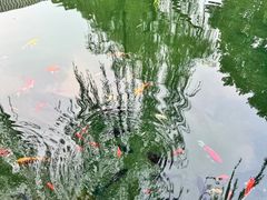 -趵突泉景区