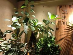 -茗情傣味
