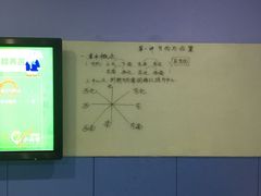 -小问号·科学启蒙·逻辑思维·阅读素养·口才演讲(杨浦合生汇中心)