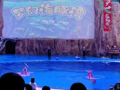 -华夏文旅海洋公园