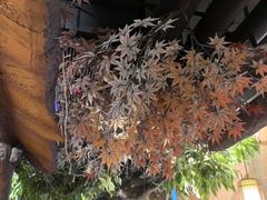 -城墙拐拐火锅(三峡广场黑金冠店)