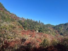 -四明山国家森林公园