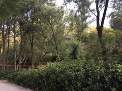 -石溪公园