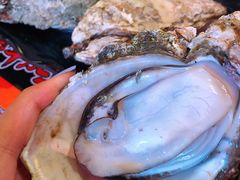 海味原只生蚝-烧蠔帮·生蚝海鲜牌档(观海店)