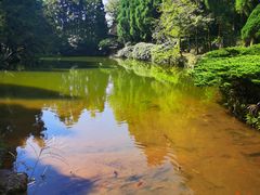 -玉苍山国家森林公园