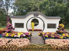 -上海共青森林公园