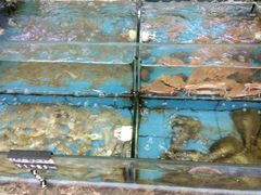 -龙溪海鲜酒家(溪涌店)