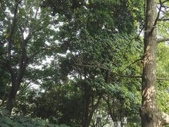 -成都市活水公园
