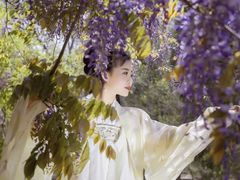 -龙口南山旅游景区