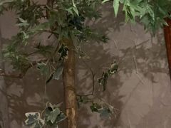 -富侨养生(光大会展店)