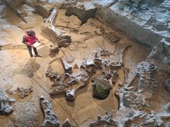 -自贡恐龙博物馆