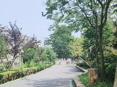 -北岭山森林公园