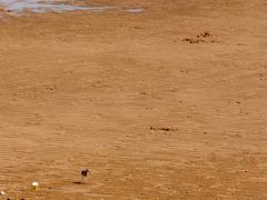 -阳光海岸露营公园