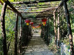 -井塘古村