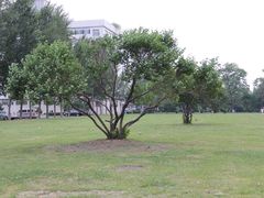 -辽宁大学(崇山校区)