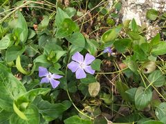 -白塘生态植物园