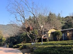 -芳草地度假酒店·野炉中餐厅