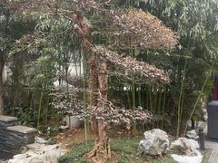 -湖滨客舍·湖北菜