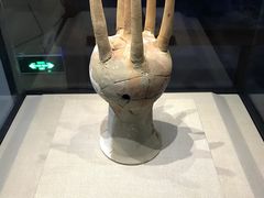 -亳州博物馆