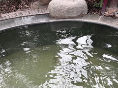 -青城道汤池