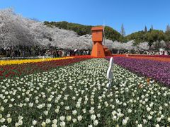 -苏州上方山国家森林公园
